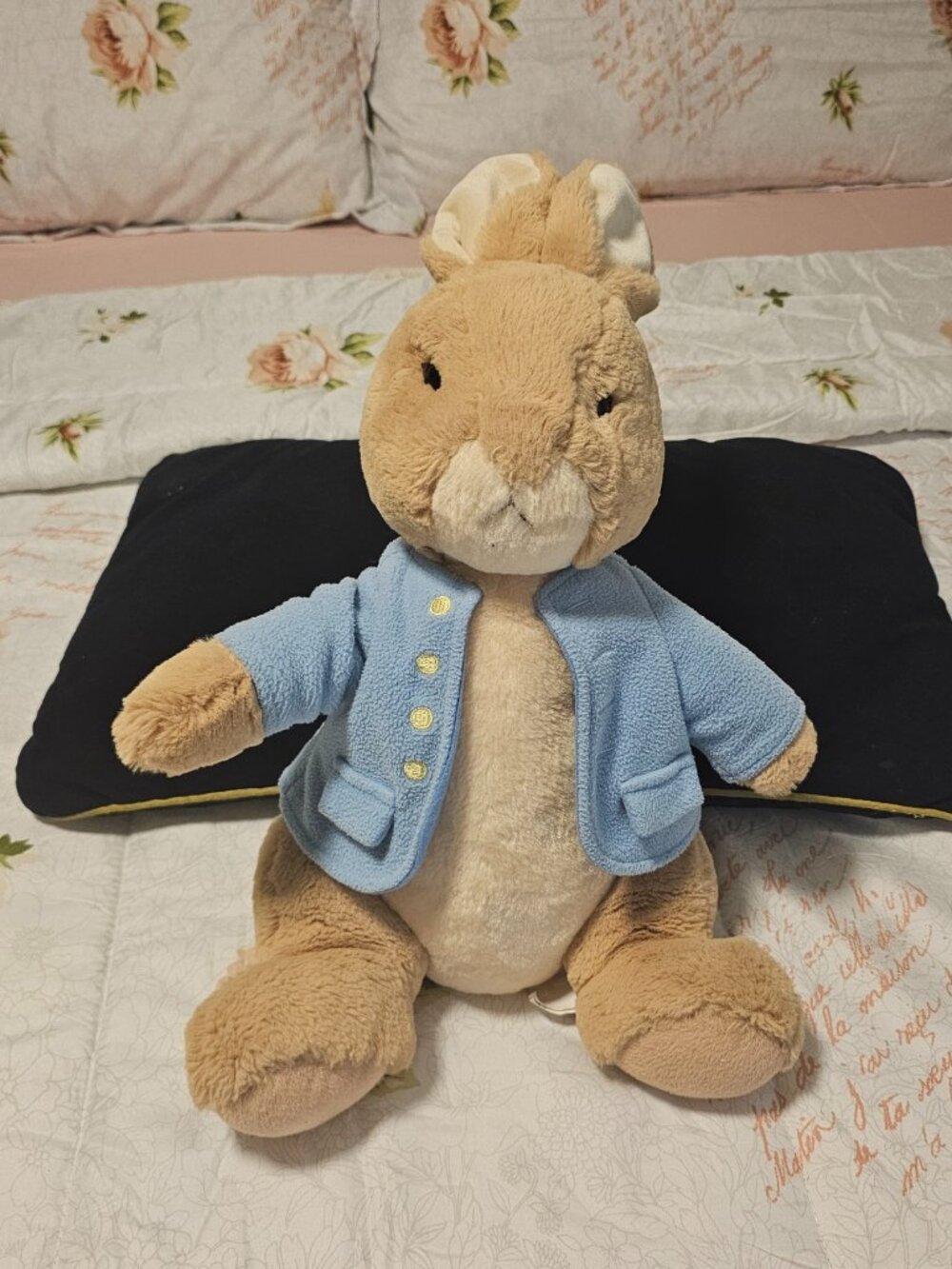 Peter Rabbity Big Plushie Beatrix Potter GUND